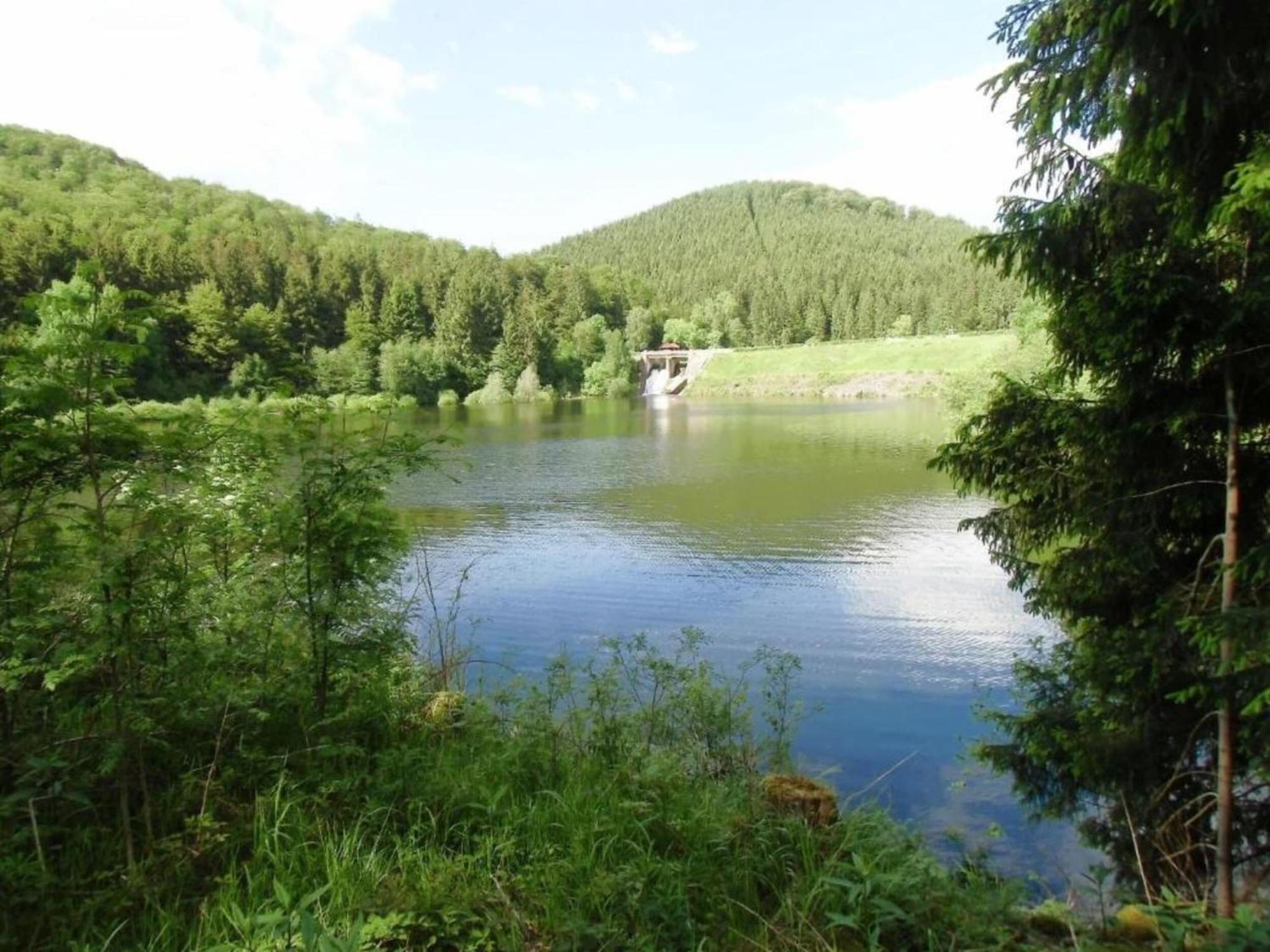 Detached Holiday Residence In The Wonderfully Beautiful Harz Kamschlacken Экстерьер фото