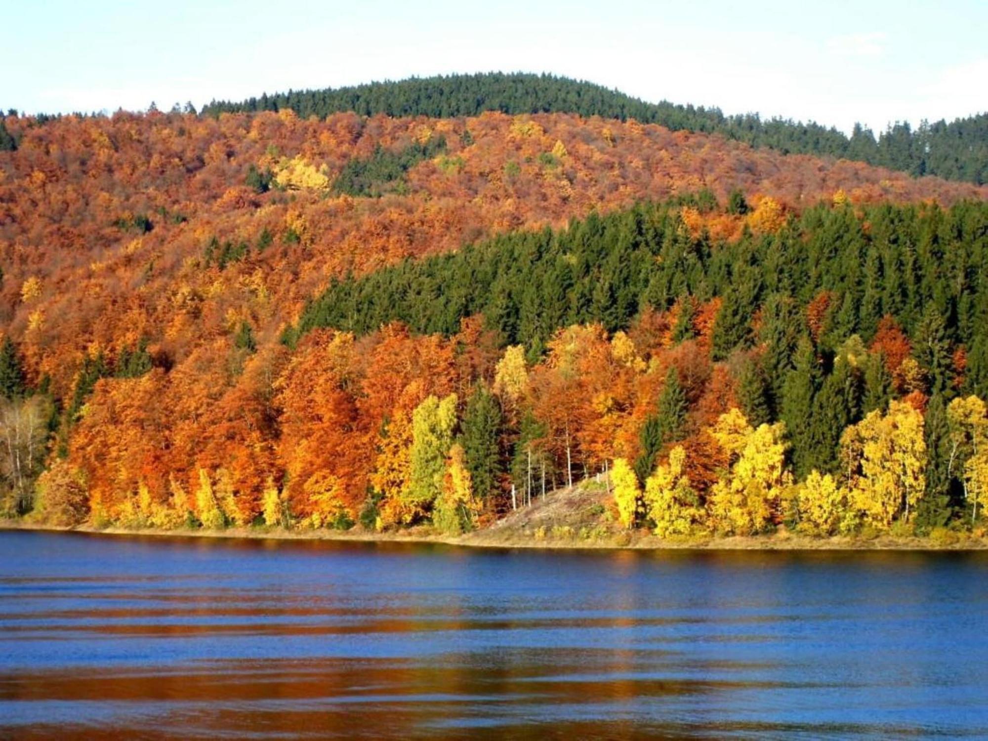 Detached Holiday Residence In The Wonderfully Beautiful Harz Kamschlacken Экстерьер фото